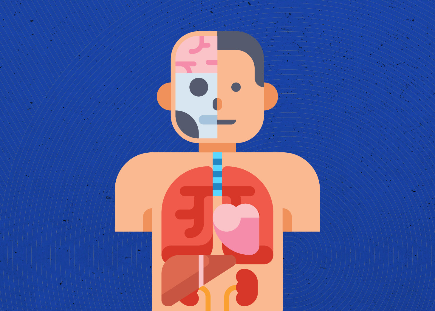 What Does Protein Do For Your Body?