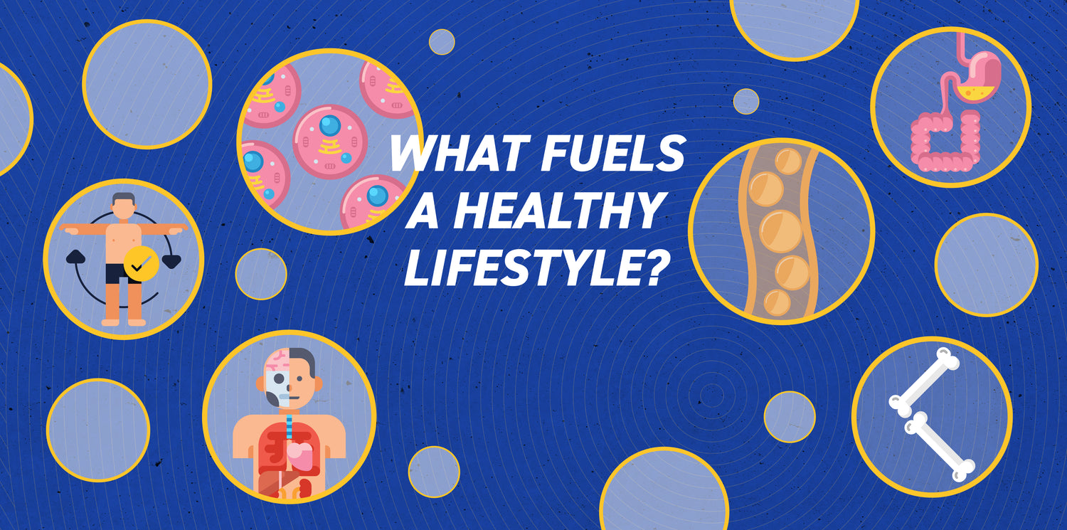 What fuels a healthy lifestyle?