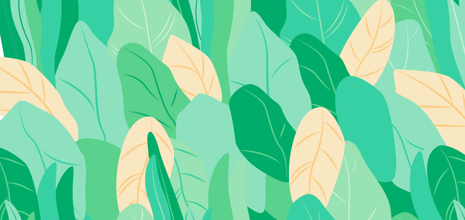 Your Veganuary Protein Guide