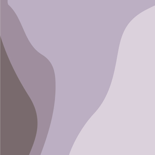 New 50G Protein Shakes | Chocolate or Strawberry 8-Pack | For Goodness ...