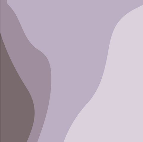 New 50G Protein Shakes | Chocolate or Strawberry 8-Pack | For Goodness ...